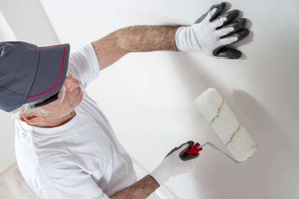 Professional Drywall and Painting Service in Tucson Mountains, AZ